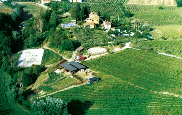  Centro ecuestre negro Guelphs 